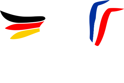 Logo de Association des Anciens Élèves de l'ISFATES-DFHI